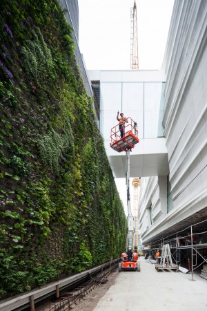 First images of Snøhetta's SFMOMA expansion