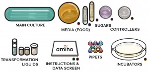 Synbio Amino tamagotchi by MIT Media Lab