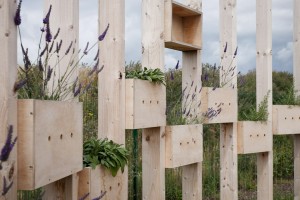 Hedge School educational pavilion by AP+E studio