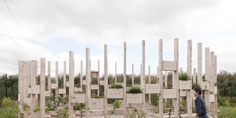 Hedge School educational pavilion by AP+E studio