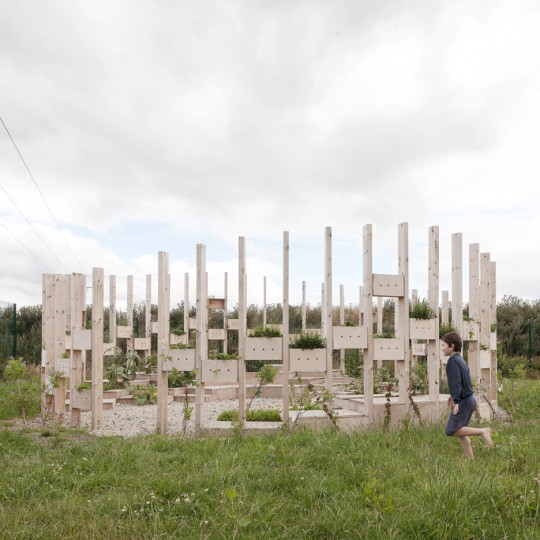 Hedge School educational pavilion by AP+E studio