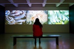 The World of Charles and Ray Eames exhibition at the Barbican