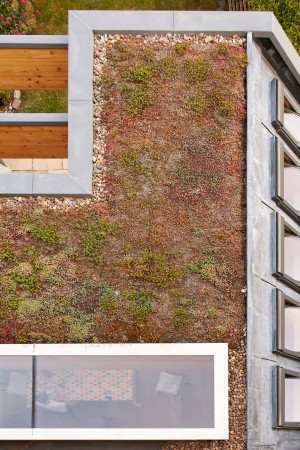 Timber exoskeleton house by Tate Harmer