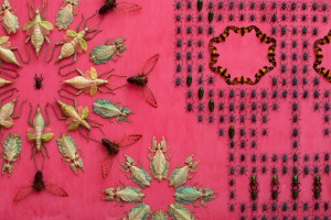 Wonder by Jennifer Angus at the Smithsonian American Art in Washington DC
