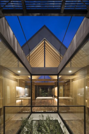 Ark house by Apollo Architects