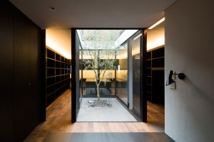 Ark house by Apollo Architects