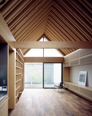 Ark house by Apollo Architects
