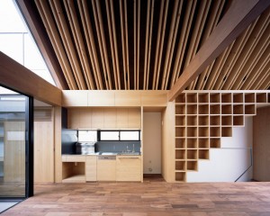 Ark house by Apollo Architects