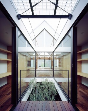 Ark house by Apollo Architects
