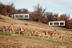 Awasi-Hotel_Felipe-Assadi_dezeen_936_8