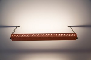 Bird Islington by Brinkworth