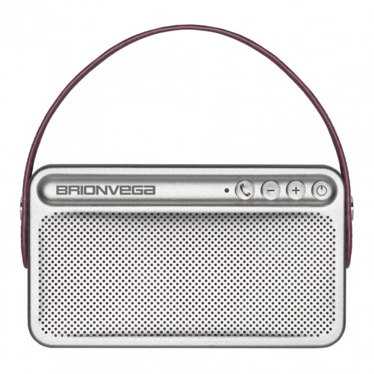 Speakers by Michael Young for Brionvega