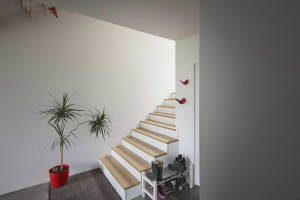Casa Jura by JDS