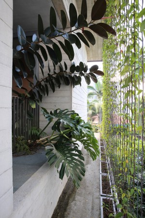 Chiltern House by WOW Architects