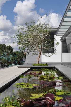 Chiltern House by WOW Architects