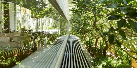 Chiltern House by WOW Architects features a rooftop lily pond to attract birds