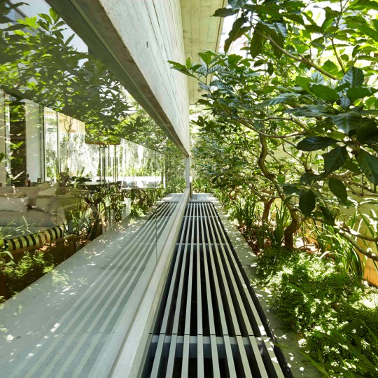 Chiltern House by WOW Architects features a rooftop lily pond to attract birds
