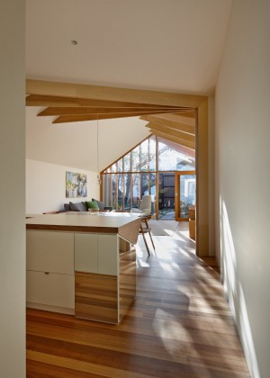 Cross Stitch House by FMD Architects