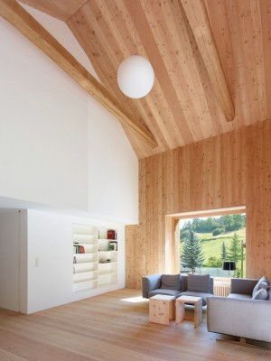 Florins Residence by Baumhauer Architects