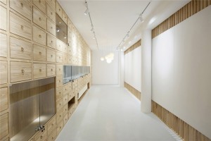 Rongbaozhai Western Art Gallery by Arch Studio