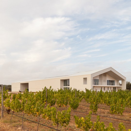Herdade do Cebolal Winery by Ribeiro de Carvalho Arquitectos