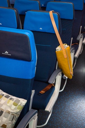 KLM's Boeing 787 aircraft by Hella Jongerius