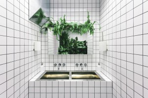 Orang Utan by AKZ Architectura