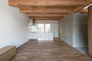 Relation house in Hyogo, Japan by Tsubasa Iwahashi architects