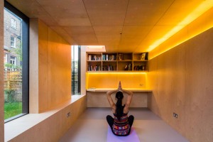 Shadow Shed by Neil Dusheiko Architects