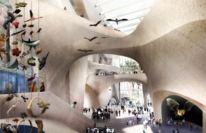 Studio Gang Museum of Natural History New York Gilder Center