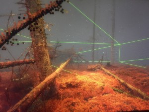 The Eyes of the Animal by Marshmallow Laser Feast