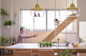 The Family Playground by HAO Design