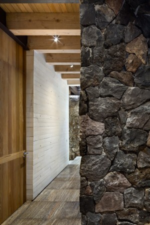 Toucan House by Taller Hector Barroso