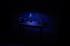 Vegetalize Air Culture Lab by Sarah Daher for Dutch Design Week 2015