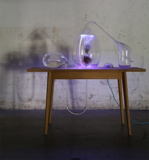 Vegetalize Air Culture Lab by Sarah Daher for Dutch Design Week 2015