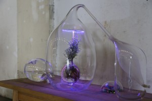 Vegetalize Air Culture Lab by Sarah Daher for Dutch Design Week 2015