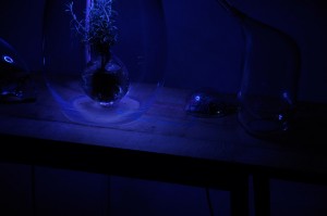 Vegetalize Air Culture Lab by Sarah Daher for Dutch Design Week 2015