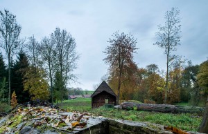 Woodland Cabin by De Rosee Sa Architects