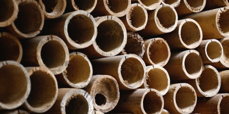 Dirk Hebel on bamboo at World Architecture Festival 2015