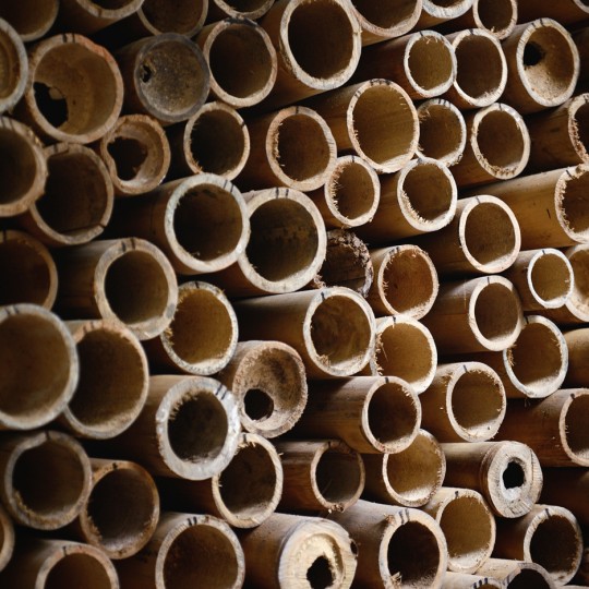Dirk Hebel on bamboo at World Architecture Festival 2015