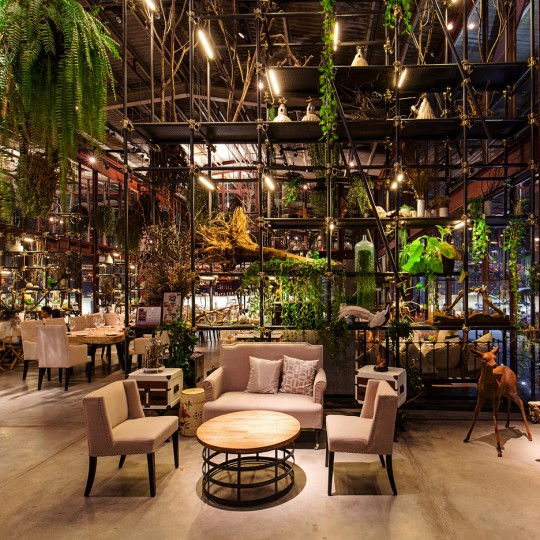 Vivarium, Bangkok, Thailand, by Hypothesis