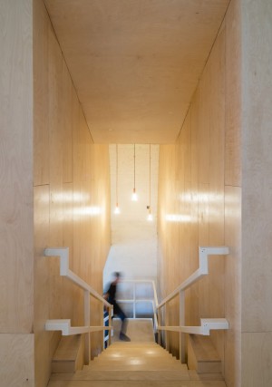 Archive, Homestore & Kitchen by Haptic