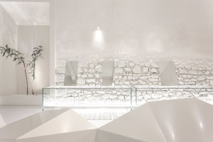 C_29/Optimist by 314 Architecture Studio