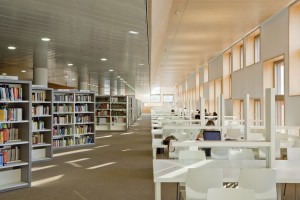 Carmen Martin Gaite by Estudio Beldarrain