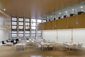 Carmen Martin Gaite by Estudio Beldarrain
