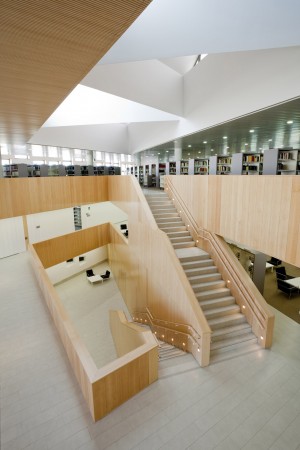 Carmen Martin Gaite by Estudio Beldarrain
