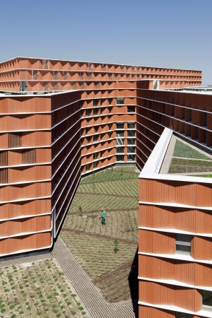 Carmen Martin Gaite by Estudio Beldarrain