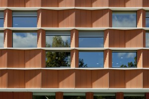 Carmen Martin Gaite by Estudio Beldarrain