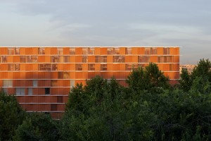 Carmen Martin Gaite by Estudio Beldarrain