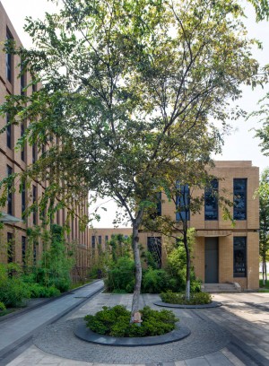 Cloister by Coffey Architects